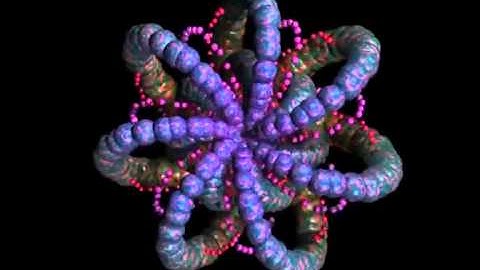 A sequence from the evolution of form 2   Wiliam Latham