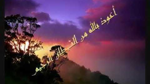 وَلَا تَرْكَنُوا إِلَى الَّذِينَ ظَلَمُوا فَتَمَسَّكُمُ النَّارُ | شيرزاد عبدالرحمن | سورة هود