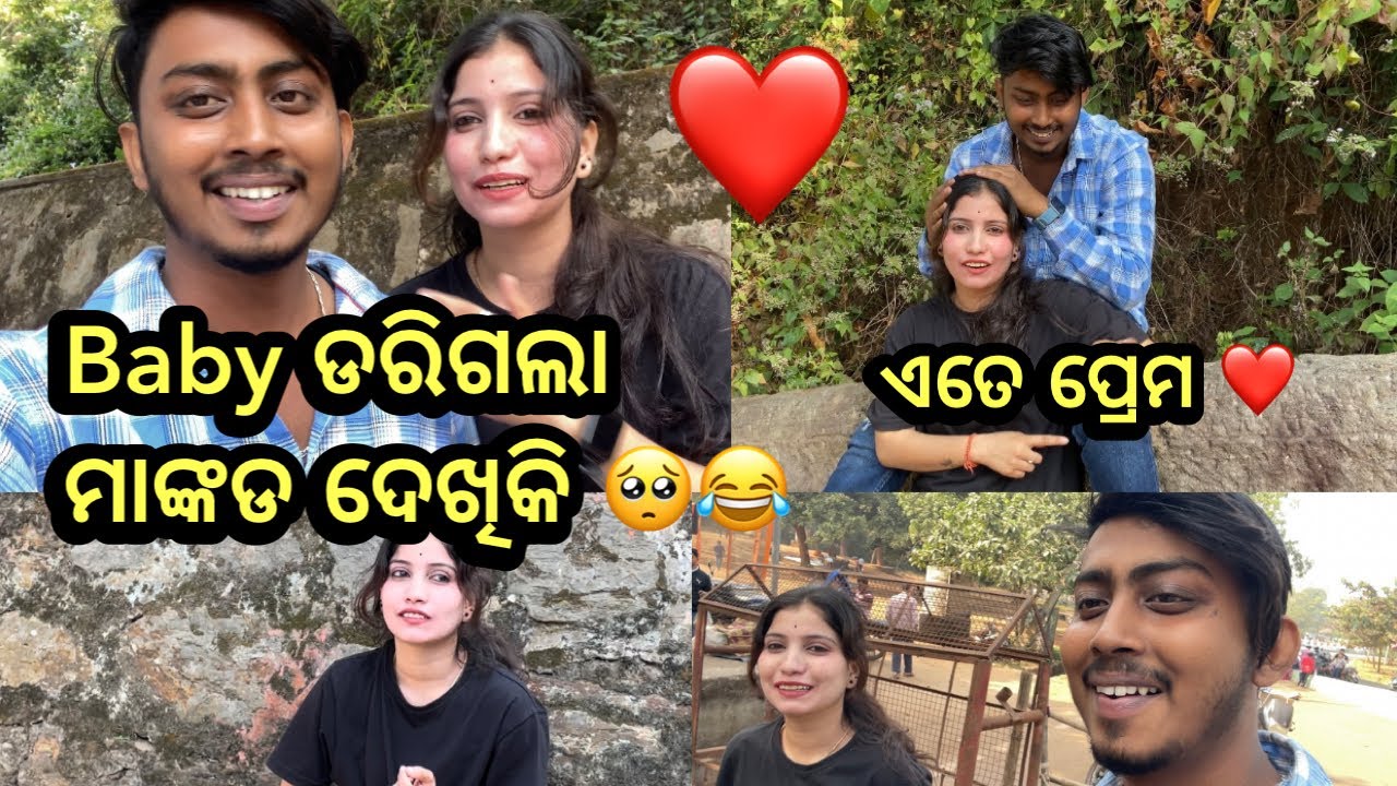 Baby ଡରିଗଲା ମାଙ୍କଡ ଦେଖିକି 🥺😂