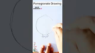 Pomegranate Drawing Easy Step By Step drawing viral shorts pomegranate