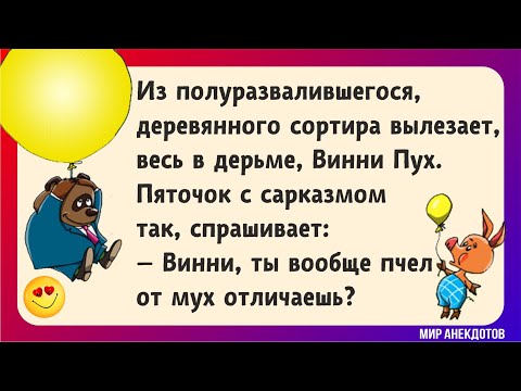 Анекдоты Про Винни Пуха И Пяточка