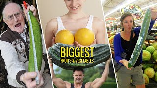 15 Biggest Fruits & Vegetables Ever Created | InfoTeller