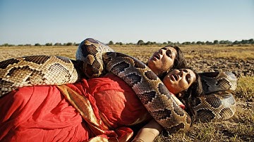 Emergency Surgery: Removing Live Goat From Giant Python Stomach After Attacking Woman