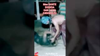 Download Lagu Mas RANTE Di Siksa #shorts #topengpencug #pencugjabar #ibingpencug MP3