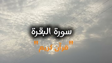 قرآن كريم بصوت القارء:سعود الفايز ♥️ ♥️ 