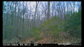 Maryland Gun Season 2024