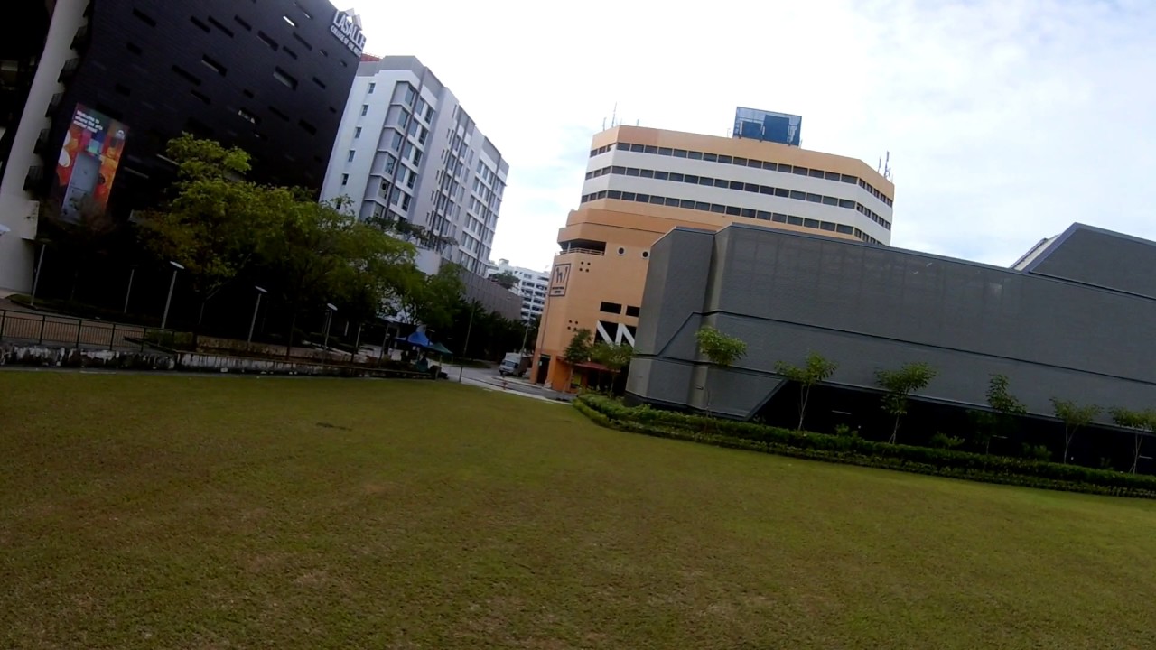 QAV R220 Racing Quad Day FPV