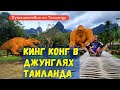 Кинг Конг в джунглях Као Сок на юге Таиланда | Красивые места Таиланда