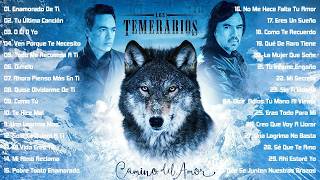 Los Temerarios Viejitas Románticas 💔 Románticas Del Ayer 💔 Mejores Viejitas Canciones Inolvidables