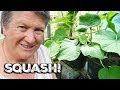 Planting Squash and Pumpkins (Summer 2018)