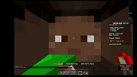 How to Duplicate Items on Hypixel Skyblock | 3b+ Coins per Day | Working September 2025