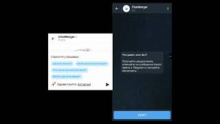 Чаты Авито в Telegram за 1 минуту | Как получать и отвечать на сообщения Авито через Telegram