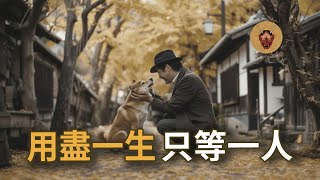 感動世人，十年的等待只為了再次與你相遇！｜忠犬八公｜幽明異苑