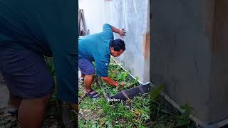 Update info wish#22 punya tanaman sayur untuk ketahanan pangan mandiri
