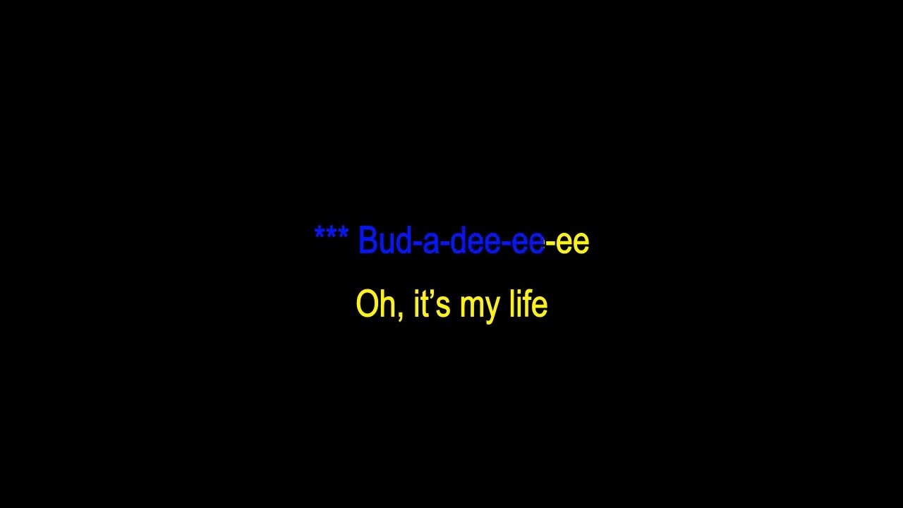 Jim Ford - It's My Life (karaoke)