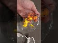 Pokémon Figures pikachu + Charmander #ross #toyreview #nintendo #wct #toys #unboxing #shorts #tvshow