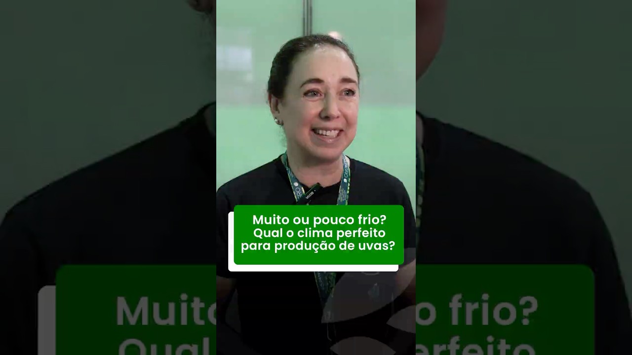 Muito ou pouco frio? Qual o clima perfeito para produção de uvas?
