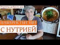 Как вкусно приготовить нутрию/Аппетитные щи