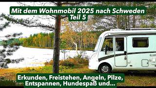 Traveling To Sweden By Motorhome In 2025  Part 5 Exploring Wild Cdaning Fishing Mushrooms F