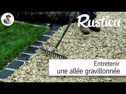 Vidéo: Mauvaises herbes communes poussant dans le gravier - Comment éliminer les mauvaises herbes dans l'allée de gravier et d'autres zones