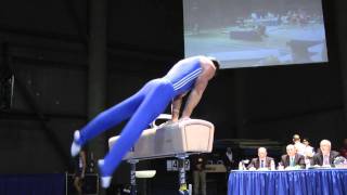 Brandon Wynn - Pommel Horse - 2012 Winter Cup Finals
