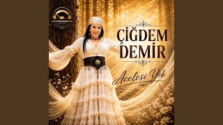 Acelesi Yok