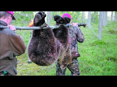 Знаменский Убойный Цех, meat products wholesale, posyolok Znamenskiy, Novaya Str
