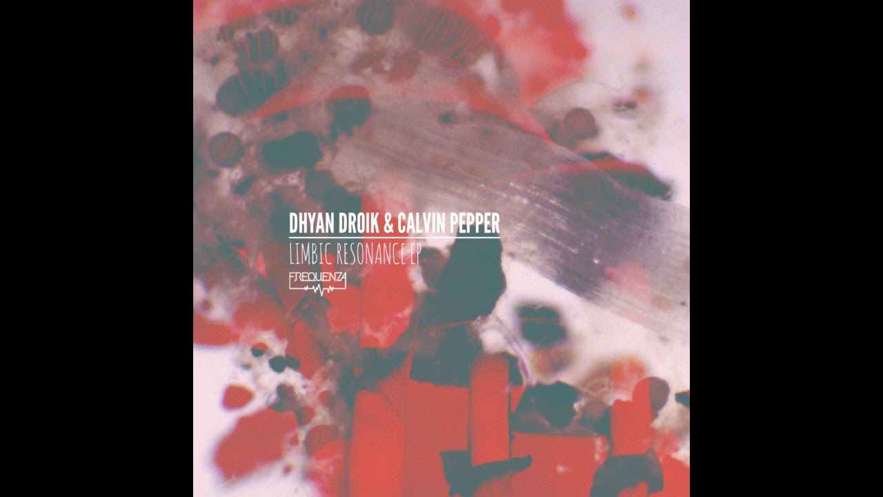 Dhyan Droik, Calvin Pepper - What Kinda Man Are You (Original Mix)