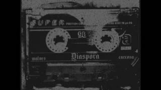 Diaspora "Demo"