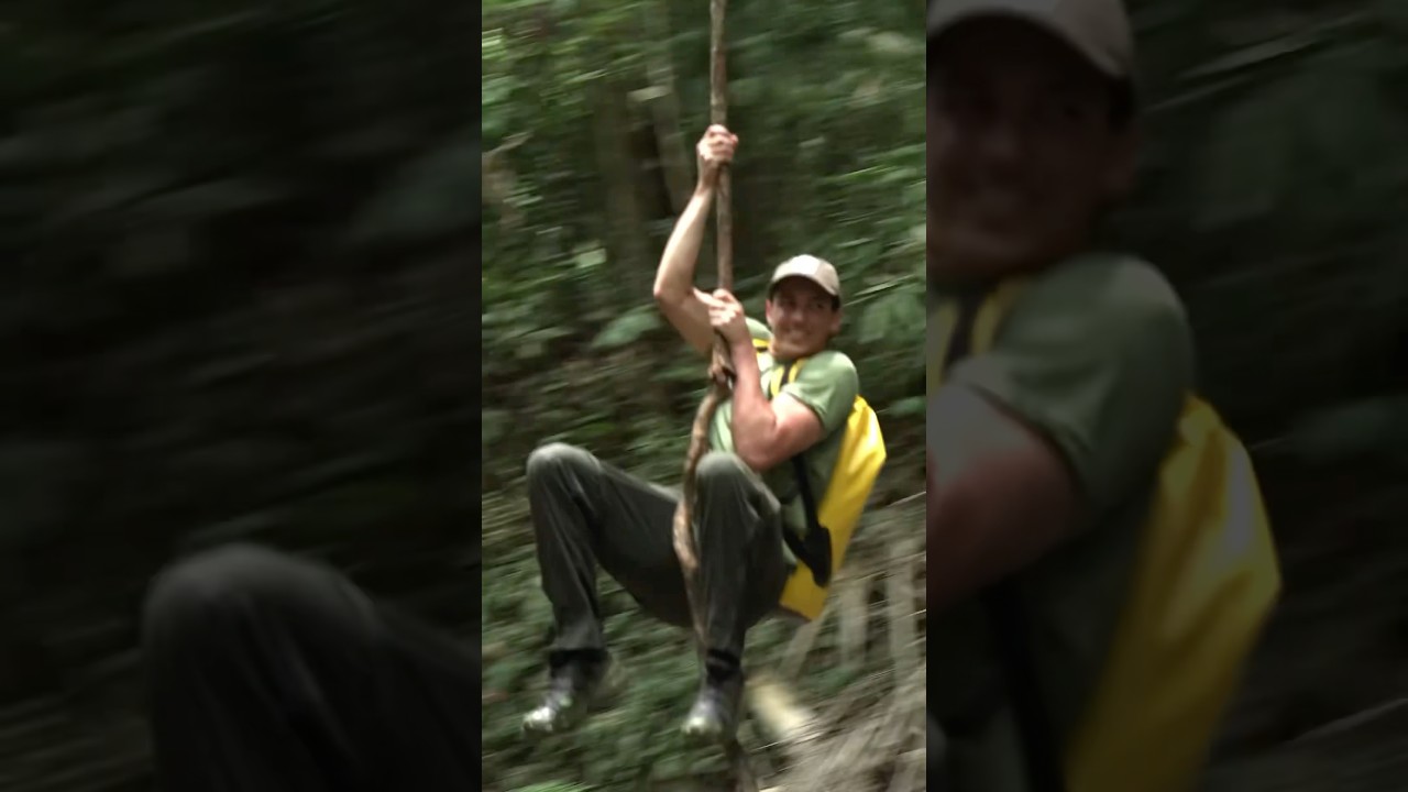 How Strong are Jungle Vines?