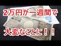 【競馬に人生】奇跡のお盆休み!激闘の2万円コロガシ編