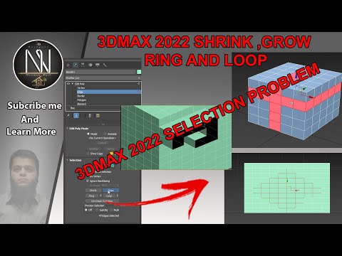 3DMAX 2022 DETAIL OF GROW,SHRINK,RING AND LOOP.(3DMAX 2022 SELECTION PROBLEM