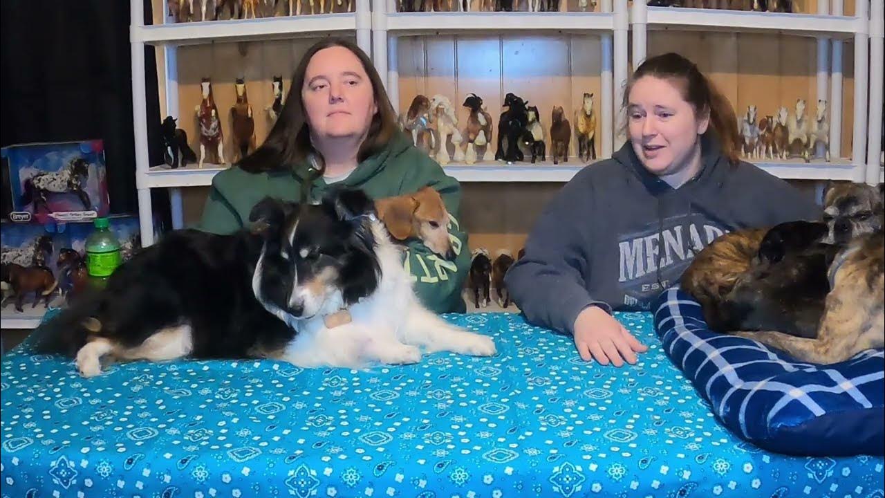 Columbus Pet Expo Part One YouTube