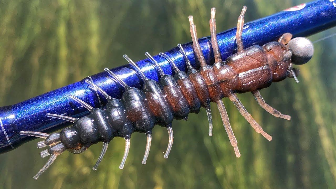 Hellgrammite Hammer Time On Some River Smallmouth 