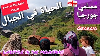 تفاصيل الحياة الاجتماعية في الجبال لدى مسلمي جورجيا ??. Muslims Social Life in Mountains of Georgia