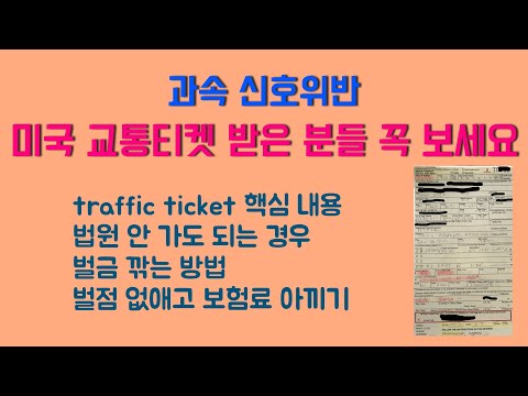 과속 신호위반 교통티켓 받은 분들 꼭 보세요 미국 Traffic Ticket 처리 방법 벌금 보험료 아끼는 꿀팁 미국교통위반 미국운전 미국범칙금 교통티켓 