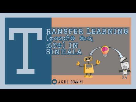 Transfer Learning | Hiruni Dewmini