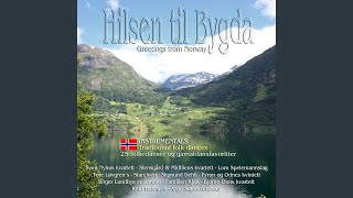 Video thumbnail of "Birger Lundbys Ensemble - Den ubemerkte - Sørensens vals"