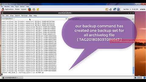 Simplified DBA-022-01-RMAN Configuration and BACKUP