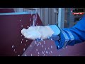 نائب رئيس نقابة العاملين في شركة ايكويت للبتروكيماويات طارق الفارس في لقاء مع «الأنباء»