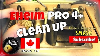 Cleaning Eheim Pro 4+ 350 | How to Maintain Canister Filter Clean Up
