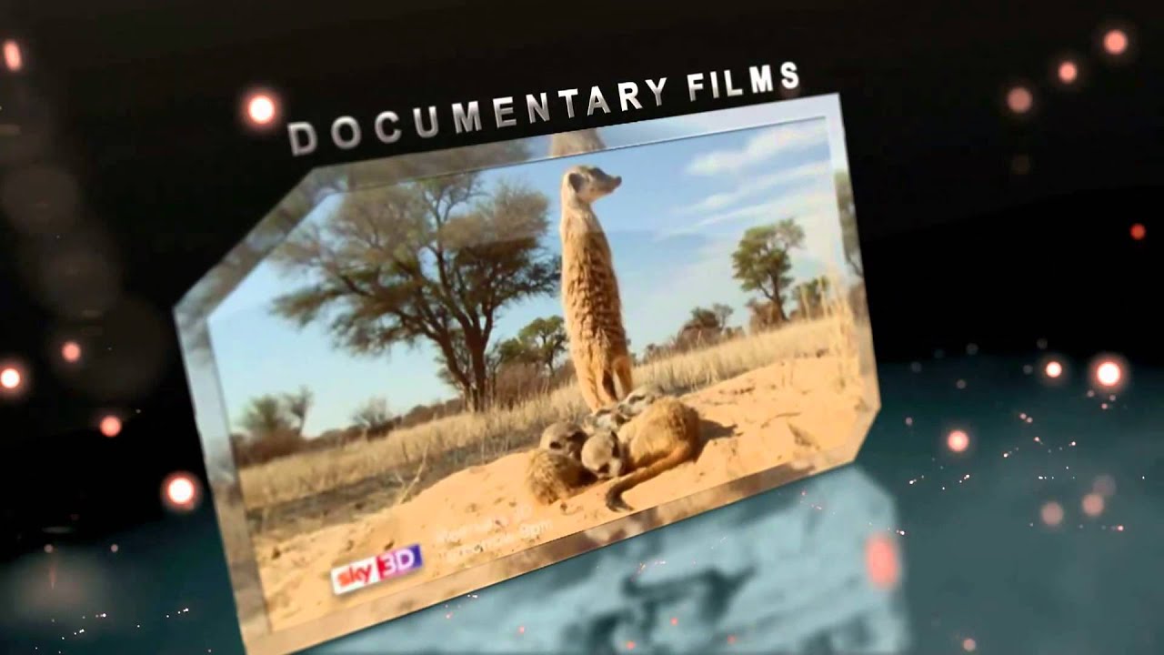 VIP 3d - Video Innovation Products