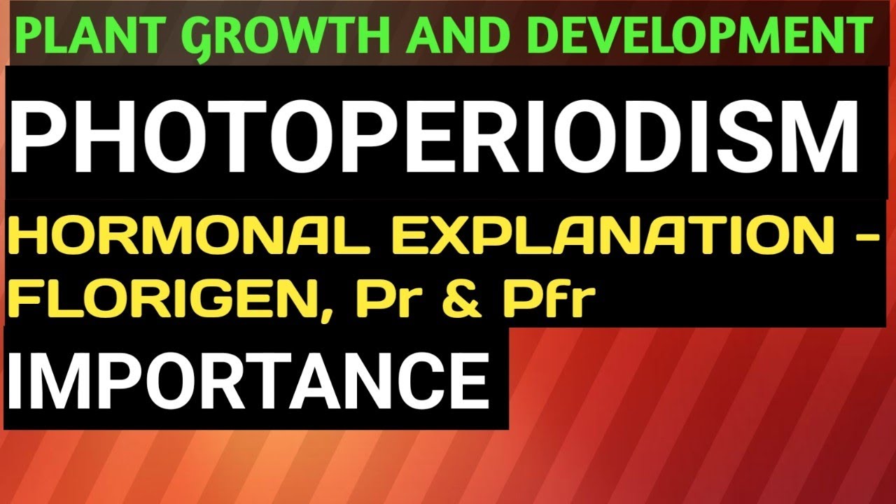 Plant Growth & Development - #hormonal_explanation_of_photoperiodism / Importance