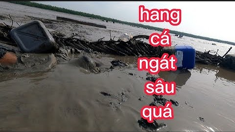một ngày mai mắn bắt tôm tích gặp hang cá ngát bắt được hai con(lê nghiã cần giờ)
