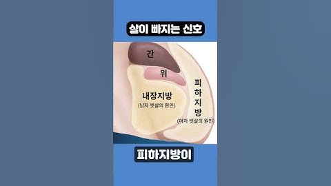 살 빠지는 놀라운 신호 #shorts