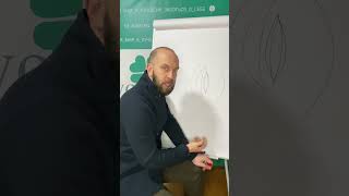 Хирургическая пластика больших половых губ. Школа эстетической урогинекологии de Novo