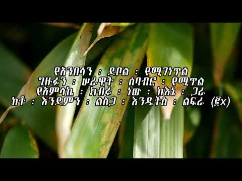 አሸናፊ ነኝ Ashenafi Negn Azeb Hailu With Lyrics