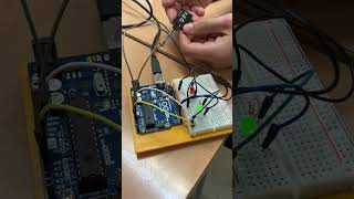 IMG 7787