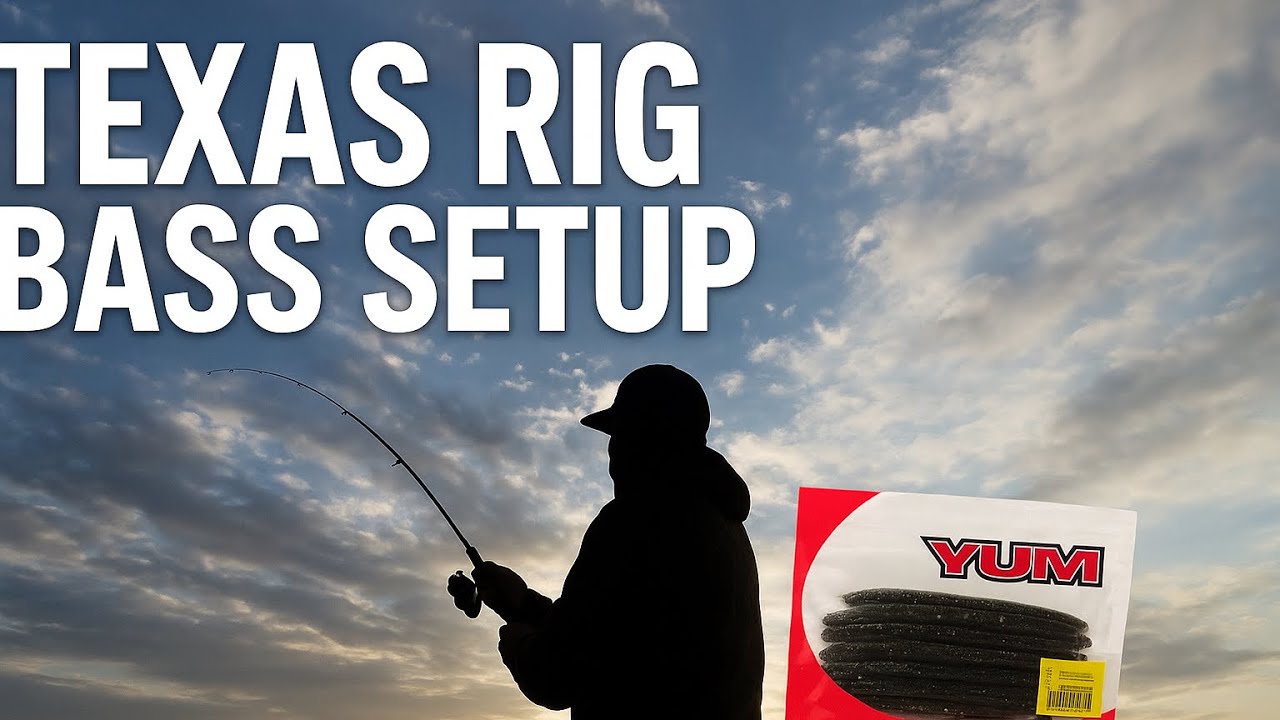 Bank Fishing with a Texas Rig (Bass Smash This Setup!)