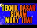 Teknik Dasar Senam Muay Thai #muaythaiworkout #muaythai #muaythaiathome